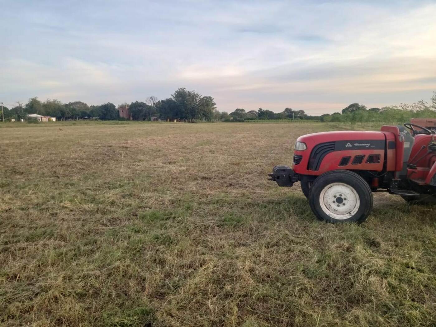 Trabajo de campo en el establecimiento La Moré