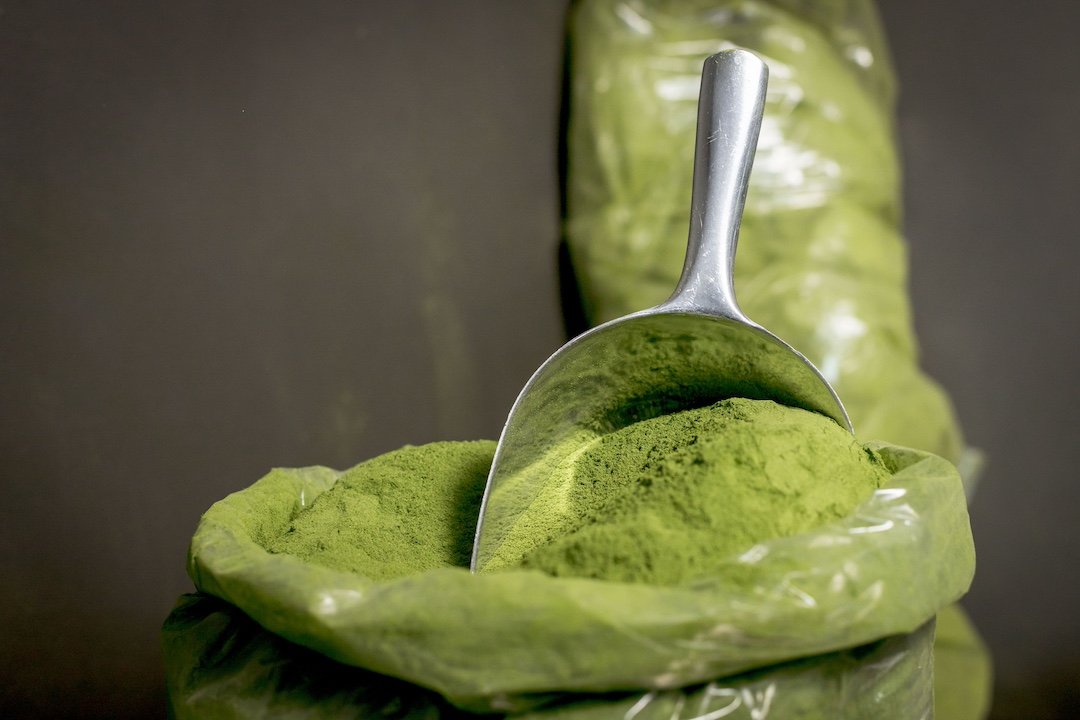 Moringa en polvo