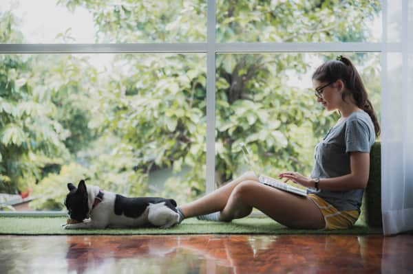 Moringa para el estrés y la ansiedad