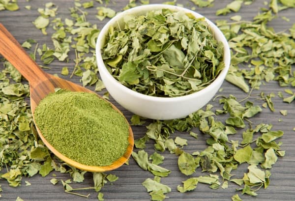 moringa en hojas